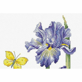Irises de Mai B7001 Luca-S Gold Collection