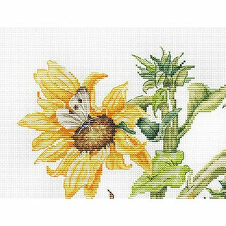Bouquet de Septembre B7004 Luca-S Gold collection