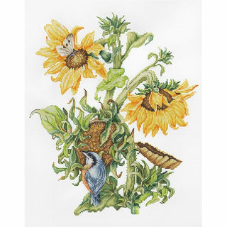 Bouquet de Septembre B7004 Luca-S Gold collection