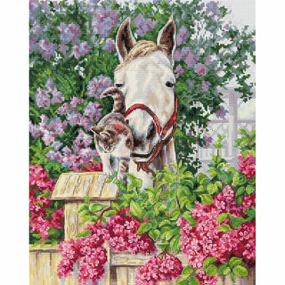 Douce affection B7012 Luca-S