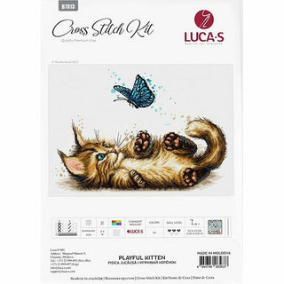 Chaton espiègle B7013 Luca-S