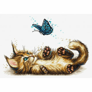 Chaton espiègle B7013 Luca-S