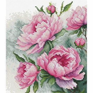 Le charme des Pivoines B7019 Luca-S