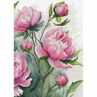 Le charme des Pivoines B7019 Luca-S