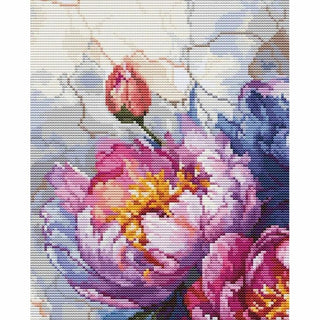 Roi des Fleurs Pivoines B7027 Luca-S