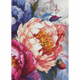 Roi des Fleurs Pivoines B7027 Luca-S