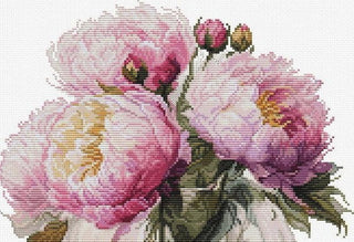 Bouquet de Pivoines B7028 Luca-S