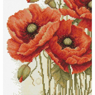 Splendeur des coquelicots B7042 Luca-S