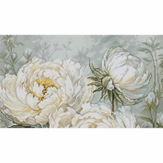 Pivoines printanières B715 Luca-S