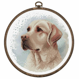 Le Labrador BC211 Luca-S