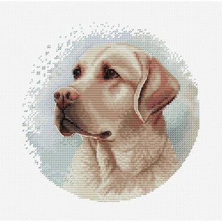 Le Labrador BC211 Luca-S