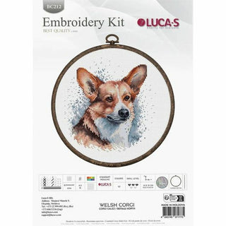 Welsh Corgi BC212 Luca-S
