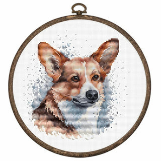 Welsh Corgi BC212 Luca-S