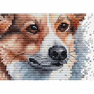 Welsh Corgi BC212 Luca-S