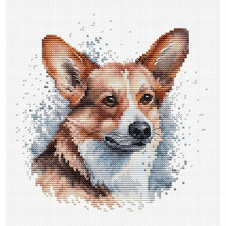 Welsh Corgi BC212 Luca-S
