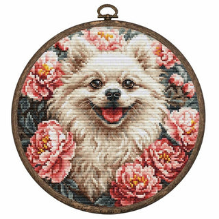 Spitz BC237 Luca-S