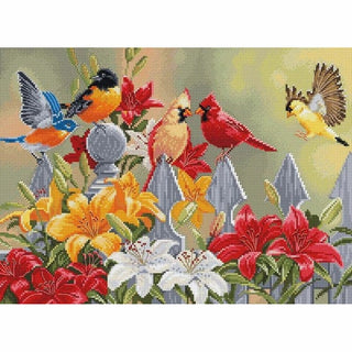 Oiseaux de jardin BU5024 Luca-S