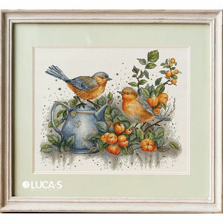 Le chant des oiseaux BU5031 Luca-S