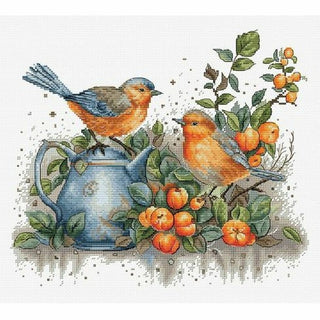 Le chant des oiseaux BU5031 Luca-S