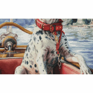 Le Dalmatien sur le lac de Côme BU5039 Luca-S