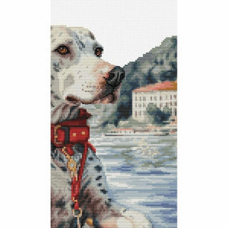 Le Dalmatien sur le lac de Côme BU5039 Luca-S