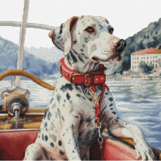 Le Dalmatien sur le lac de Côme BU5039 Luca-S
