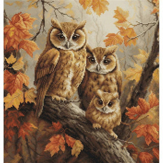 Famille des Hiboux BU5045 Luca-S