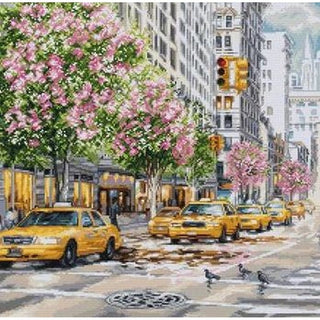 New York BU5049 Luca-S