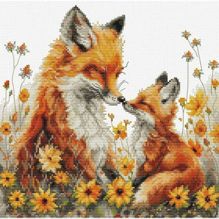 Tendresse BU5059 Luca-S
