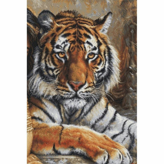 Princesse et tigre BU5060 Luca-S