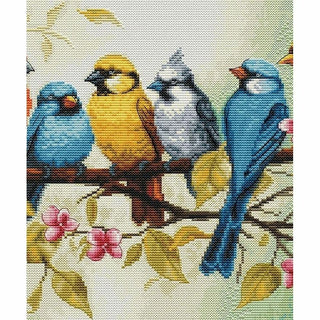 Le chant des oiseaux BU5062 Luca-S