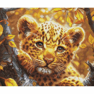 Bébé Léopard BU5068 Luca-S
