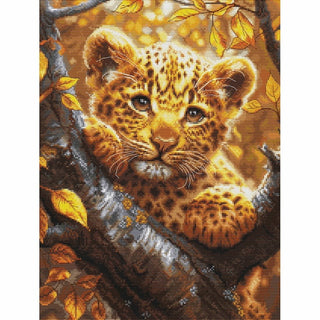 Bébé Léopard BU5068 Luca-S