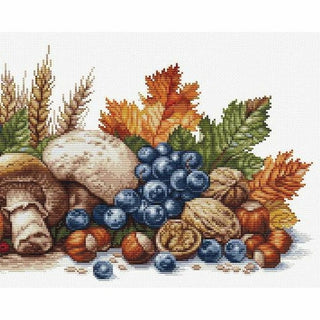 Récolte d automne BU5071 Luca-S