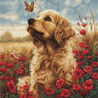 Rencontre dans le champ fleuri BU5073 Luca-S