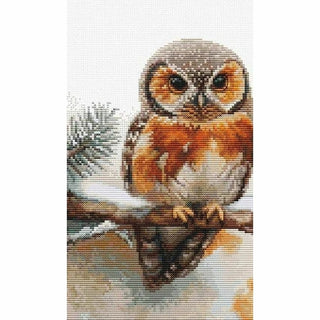 Hiboux dans le silence BU5077 Luca-S