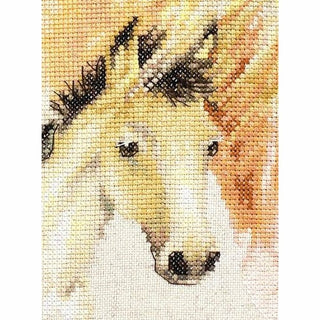 Coussin - Cheval - PB179 - Luca-S