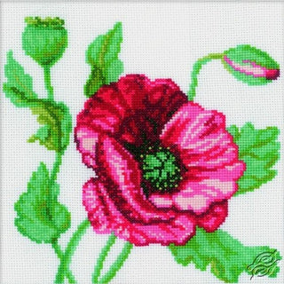 Coquelicot rouge M083 RTO