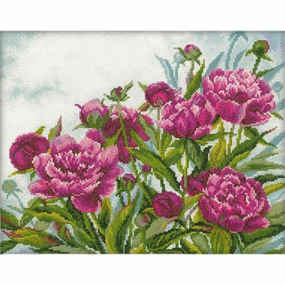 Pivoines M272 RTO