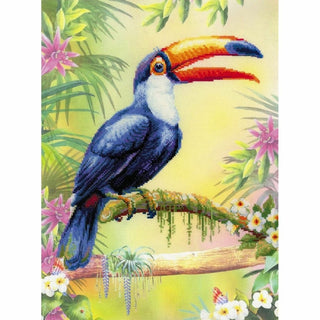 Toucan - 0077PT - Riolis