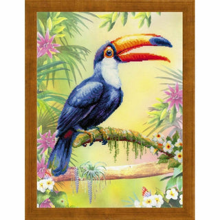 Toucan - 0077PT - Riolis
