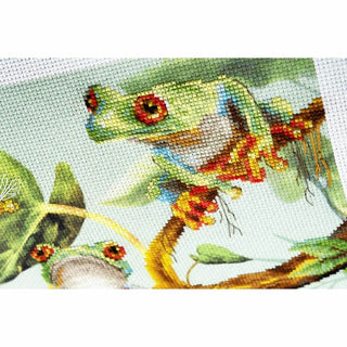 Grenouilles - 0083PT - Riolis