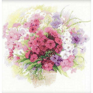 Aquarelle de Phlox 1069 Riolis