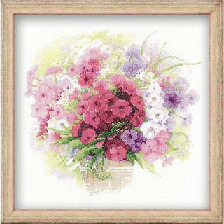 Aquarelle de Phlox 1069 Riolis