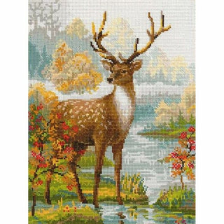 Cerf - 1077 - Riolis