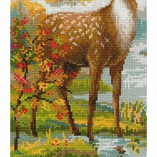 Cerf - 1077 - Riolis