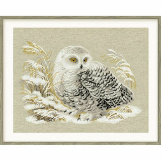 Chouette Harfang des neige 1241 Riolis