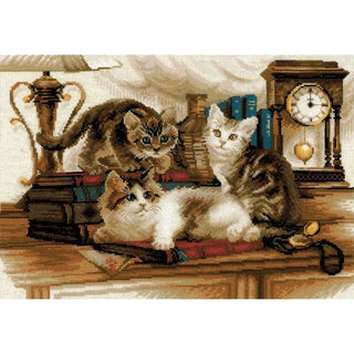 Chatons 1247 Riolis