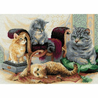 Riolis 1327 Famille féline