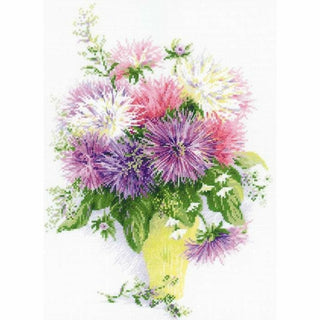 Reine marguerites 1389 Riolis